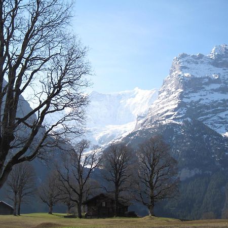 Superior Apartment 100M2 Bodmisonne - Grindelwald Exterior photo