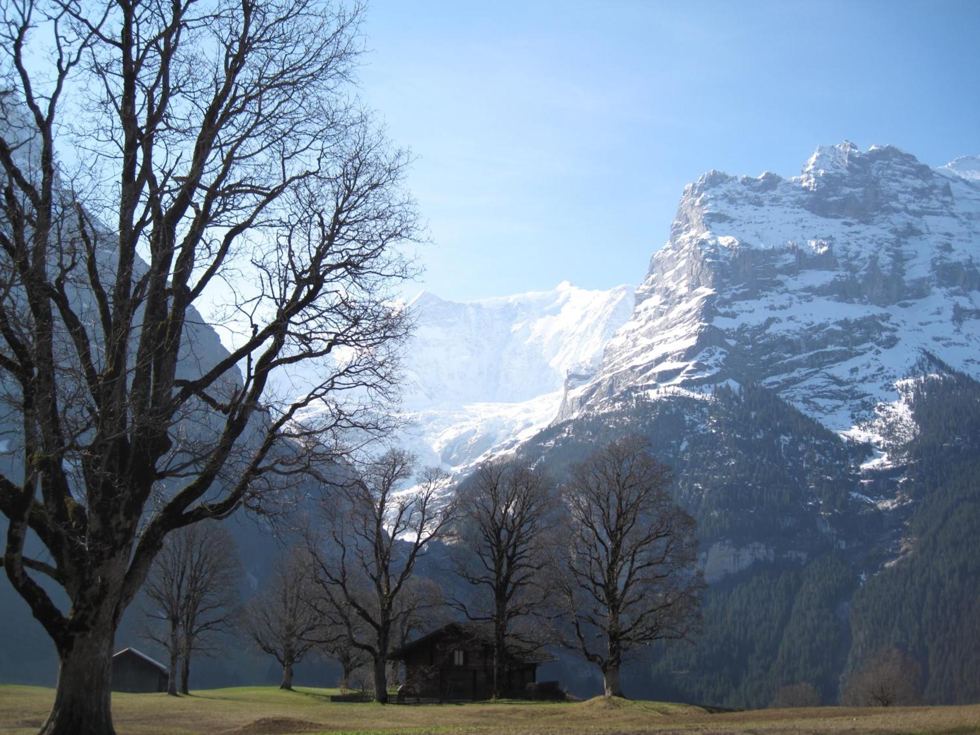Superior Apartment 100M2 Bodmisonne - Grindelwald Exterior photo